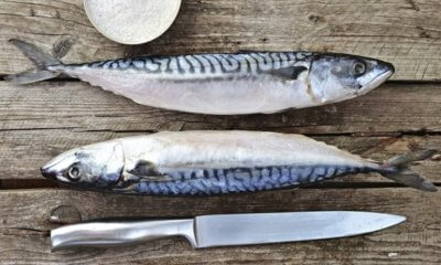 Копченая скумбрия с ячневой кашей